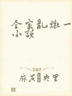 全家乱炖一锅烩小说