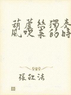 葫芦丝独奏《金风吹来的时候》,好听