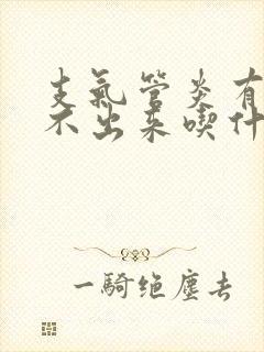 支气管炎有痰咳不出来吃什么药