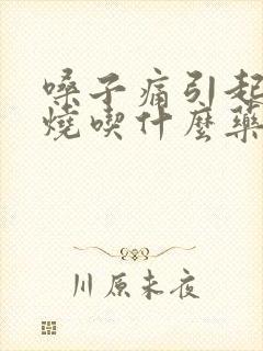 嗓子痛引起的发烧吃什么药封面