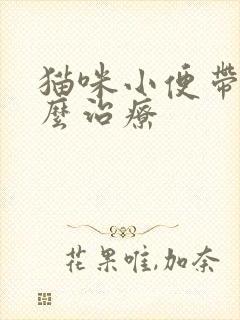 猫咪小便带血怎么治疗