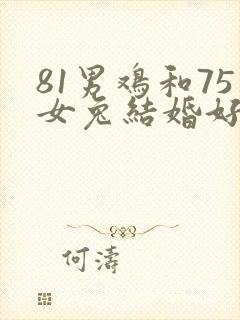 81男鸡和75女兔结婚好不好封面