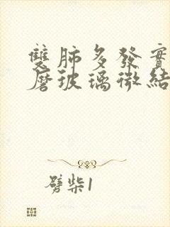 双肺多发实性及磨玻璃微结节封面