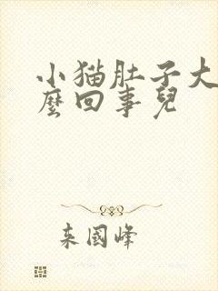 小猫肚子大是怎么回事儿封面