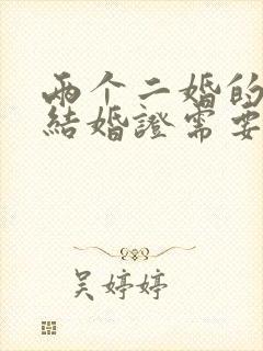 两个二婚的人领结婚证需要带什么