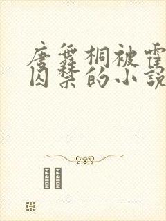 唐舞桐被霍雨浩囚禁的小说