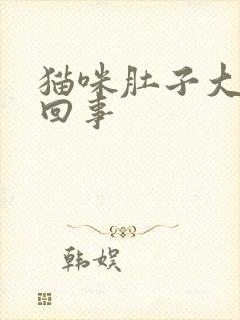 猫咪肚子大怎么回事