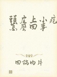 头皮上小疙瘩是怎么回事封面