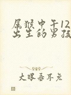 属猴中午12点出生的男孩命运