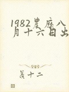1982农历八月十六日出生的人命运