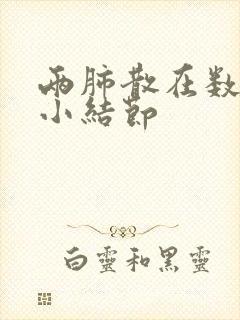 两肺散在数个微小结节