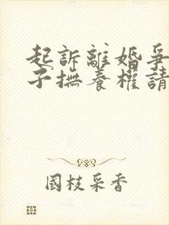 起诉离婚争取孩子抚养权请律师费用多少钱封面