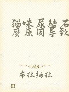 猫咪尿结石是什么原因导致的