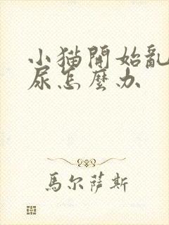 小猫开始乱拉乱尿怎么办