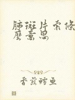 肺斑片索条影什么意思