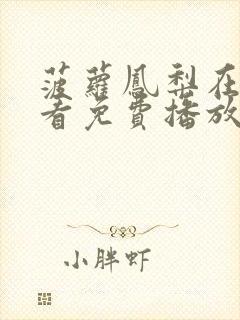 菠萝凤梨在线观看免费播放电视剧