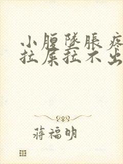 小腹坠胀疼痛想拉屎拉不出来