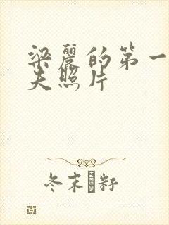 梁丽的第一任丈夫照片封面