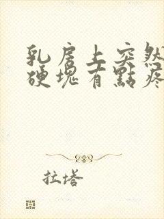 乳房上突然有个硬块有点疼封面