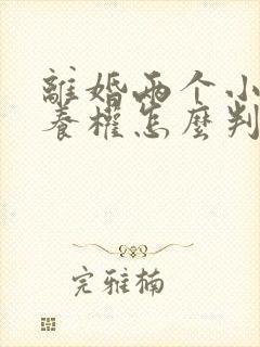 离婚两个小孩抚养权怎么判定封面