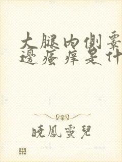 大腿内侧睾丸旁边瘙痒是什么原因