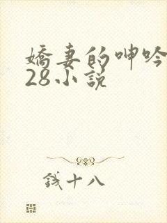 娇妻的呻吟1—28小说