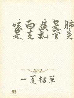 咳白痰是肺寒还是支气管炎封面