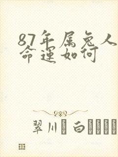 87年属兔人的命运如何