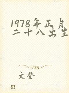 1978年正月二十八出生的人命运怎样