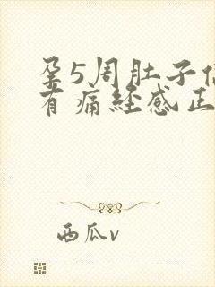 孕5周肚子偶尔有痛经感正常吗