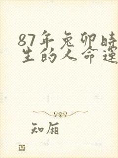 87年兔卯时出生的人命运?