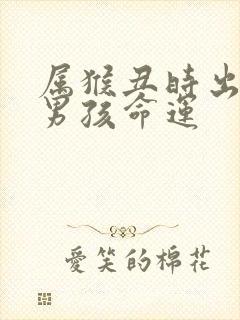 属猴丑时出生的男孩命运封面