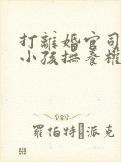 打离婚官司争夺小孩抚养权