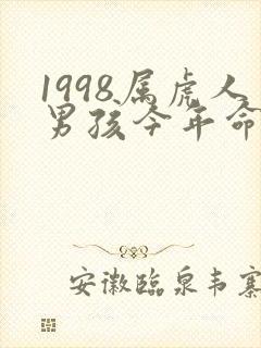 1998属虎人男孩今年命运咋样