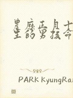 农历正月十五出生的男孩命运封面