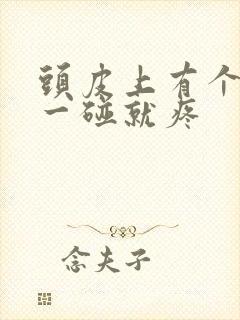 头皮上有个疙瘩一碰就疼封面