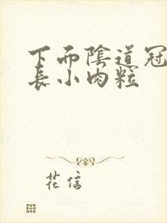 下面阴道冠状沟长小肉粒