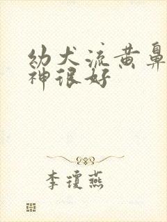 幼犬流黄鼻涕精神很好