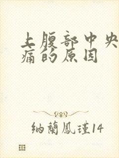 上腹部中央阵疼痛的原因