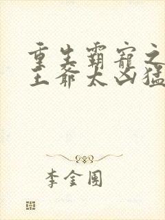 重生霸宠之摄政王爷太凶猛