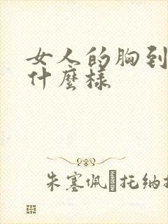 女人的胸到底长什么样