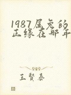 1987属兔的正缘在哪年