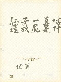 肚子一直咕咕响还放屁是什么原因封面