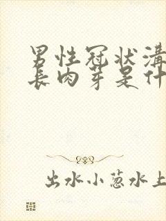 男性冠状沟一圈长肉芽是什么原因