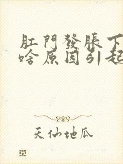 肛门发胀下坠是啥原因引起的封面