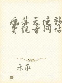 魂落天使动漫免费观看网站