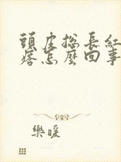 头皮总长红色疙瘩怎么回事