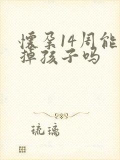 怀孕14周能打掉孩子吗