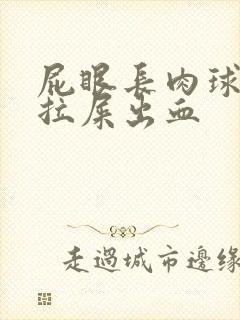 屁眼长肉球很疼拉屎出血