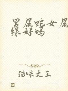 男属蛇女属牛姻缘好吗